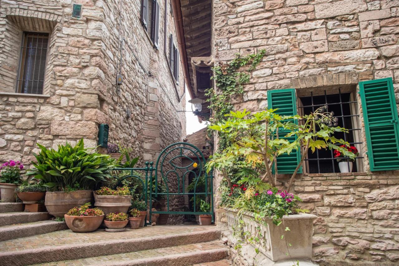 La Viola Di Assisi Hotel Luaran gambar
