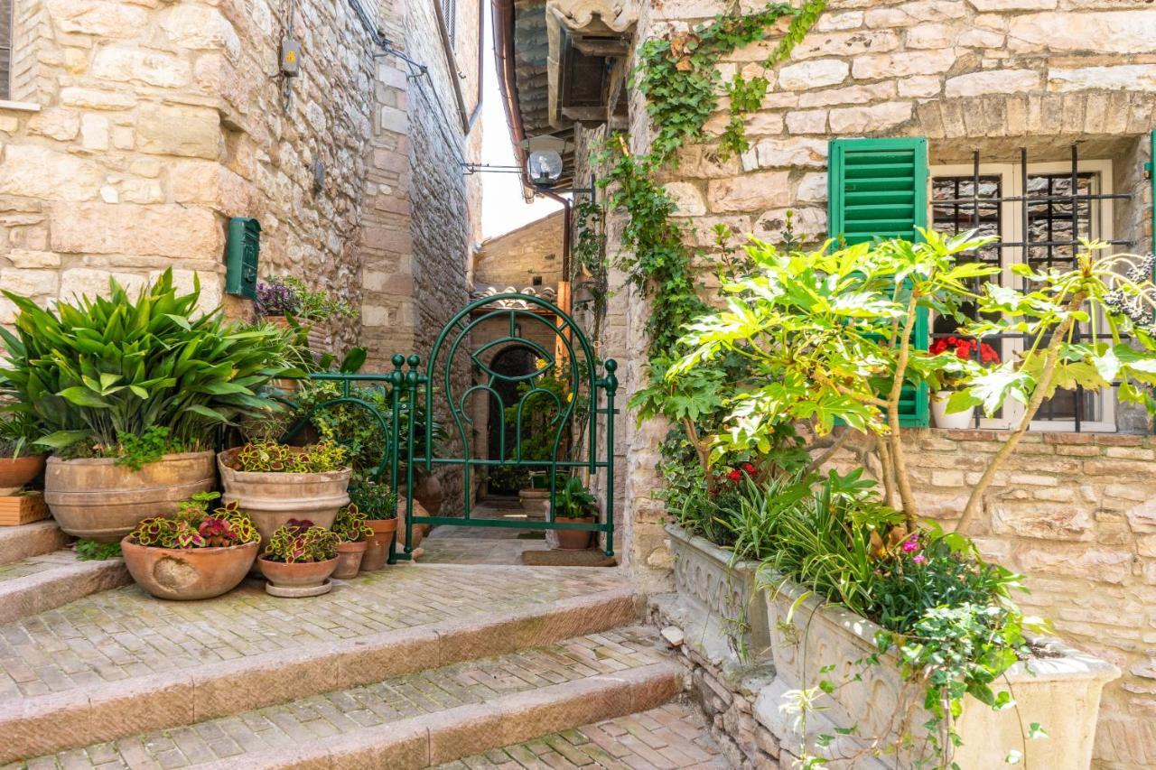 La Viola Di Assisi Hotel Luaran gambar