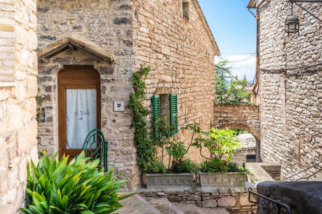 La Viola Di Assisi Hotel Luaran gambar